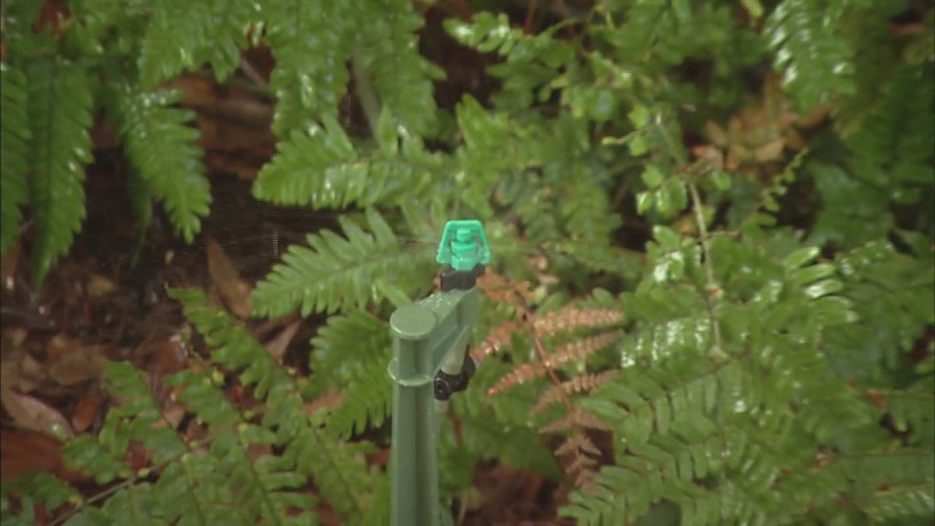 Thinking Green