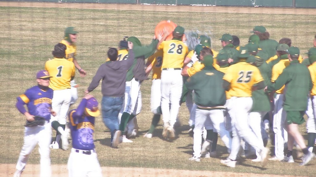 Ndsu Bsb
