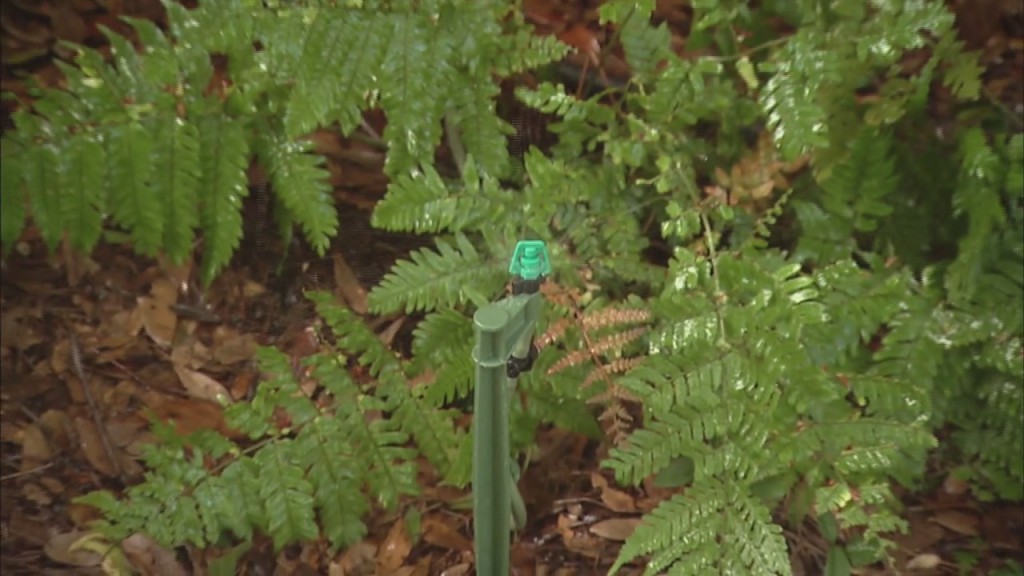 Thinking Green