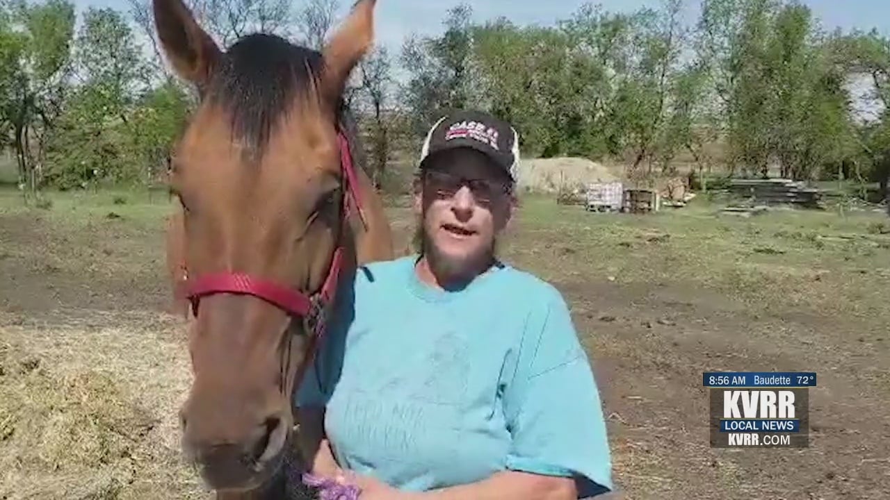 Pet Connection: Horse Rescue Fundraiser - KVRR Local News