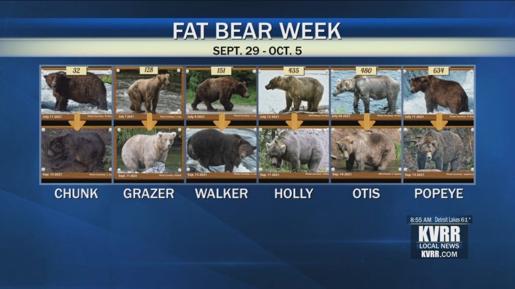 Fat Bear Week