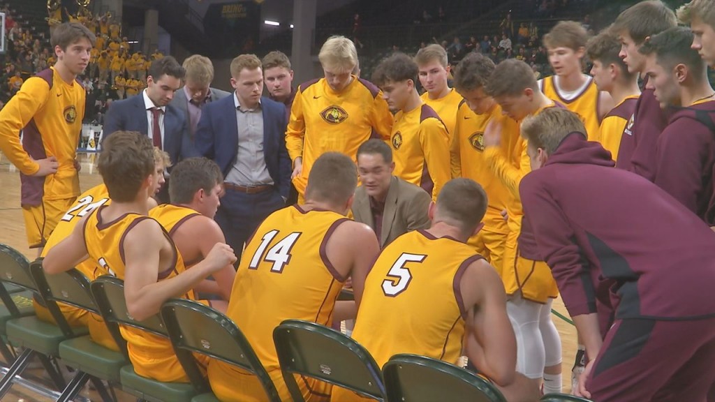 Cobber Mens Hoops Still