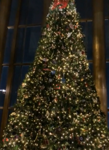 Xmas Tree 120621