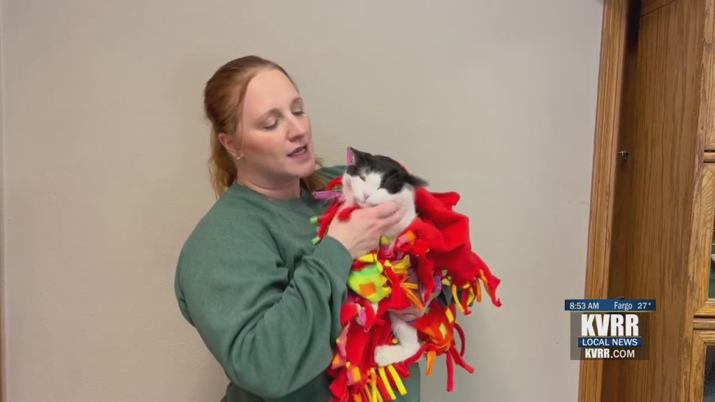 Pet Connectionnnnnnnnnnn
