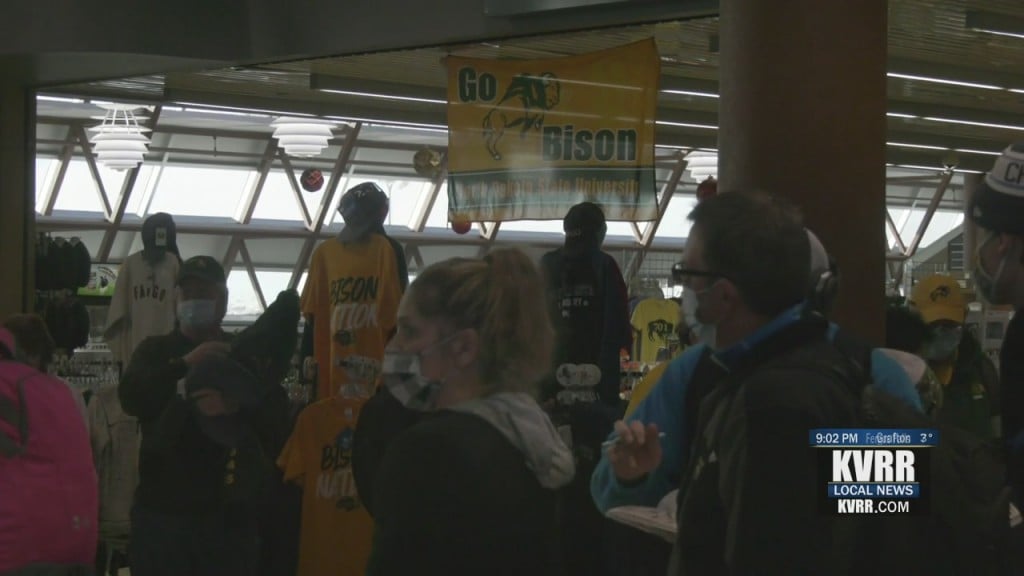 Bison Fans