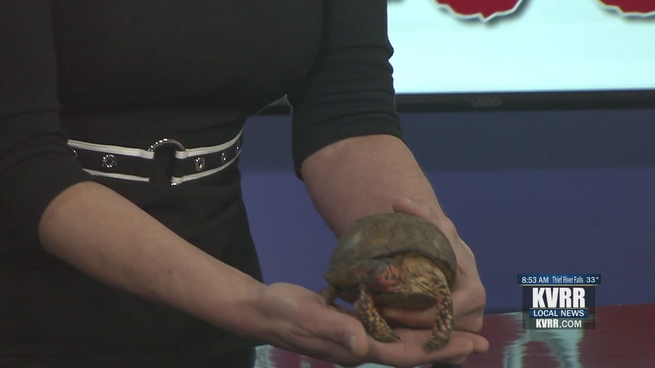 LIVE: Celebrate National Zoo Day Downtown With Red River Zoo - KVRR ...