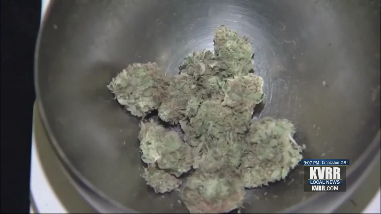 Another push for legalized recreational marijuana in North Dakota – KVRR Local News