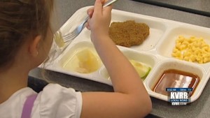 Lunch Aid