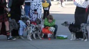 Doggy 103022