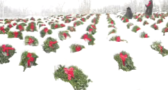 Wreaths