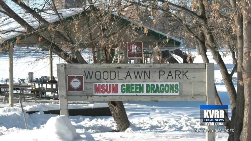 Disc Golf Frostival