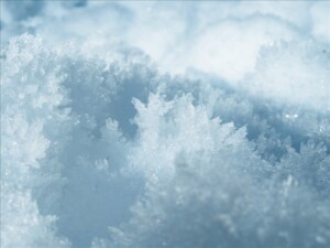Snow Generic