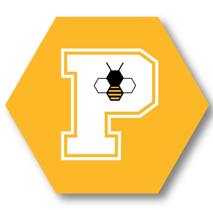 Perham Public School