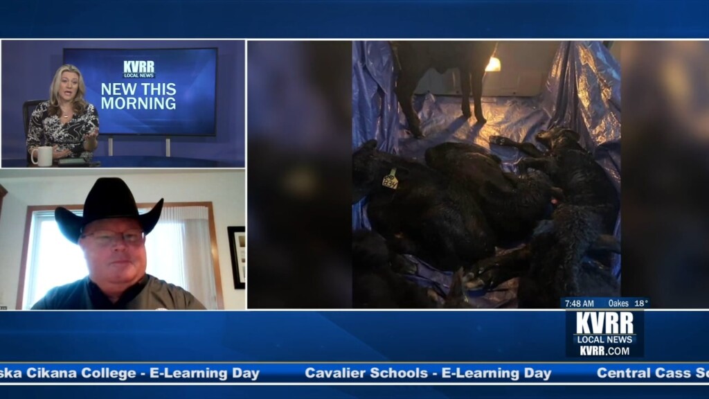 Storm Calving