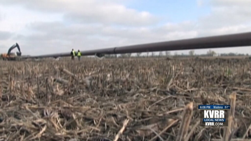 Dapl