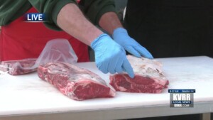 Meat