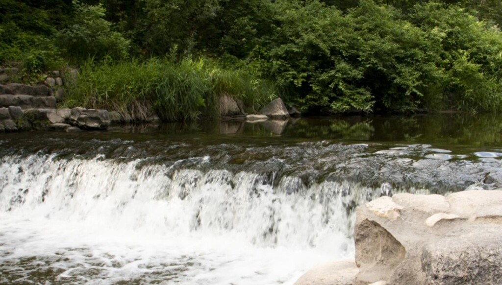 Turtle River 062923