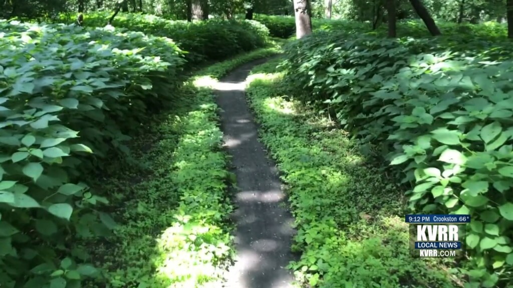 Trails
