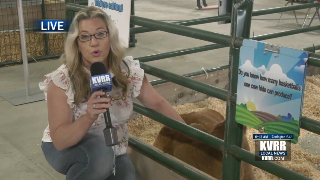 Fair Cow