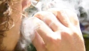 Pot Sales 080223
