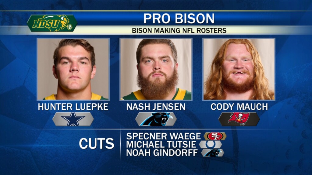 Pro Bison Get 903