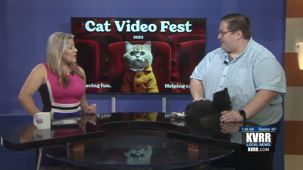 Cat Video Fest