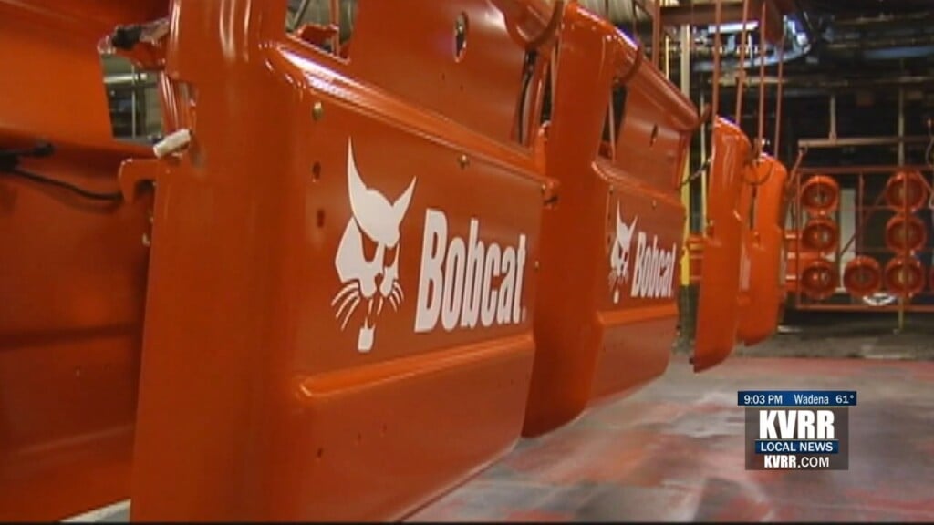 Bobcat