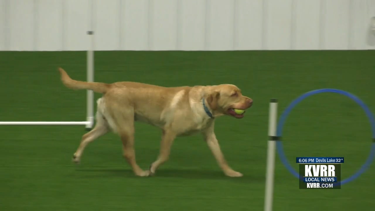 Minnesota based Dog Food Company to open a New Service Dog Training