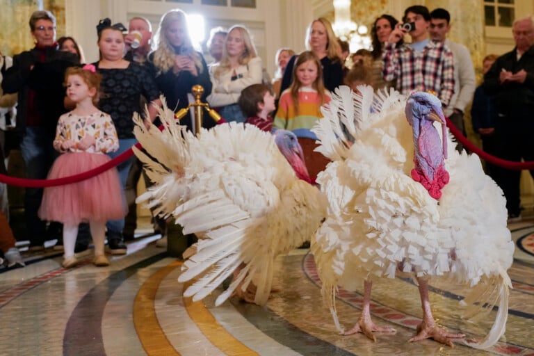 Biden Turkey Pardon