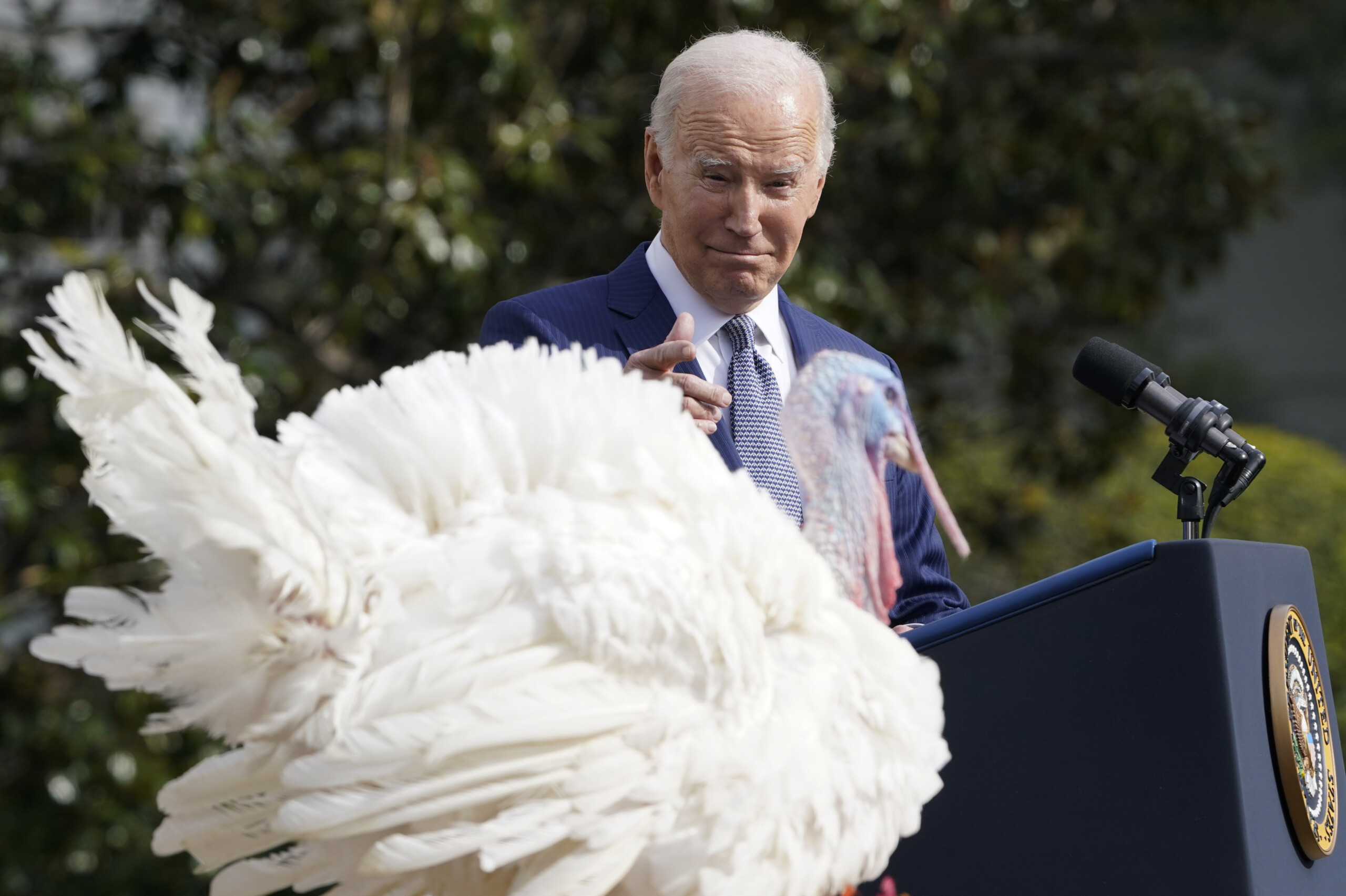 Biden Pardons National Thanksgiving Turkeys From Minnesota While Joking ...