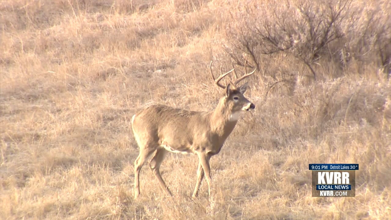 What you need to know this Deer Gun Hunting Season in North Dakota