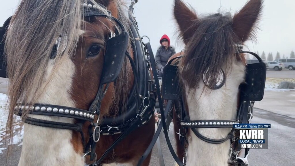 Sleigh