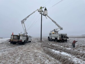 Cass Co Elec 6