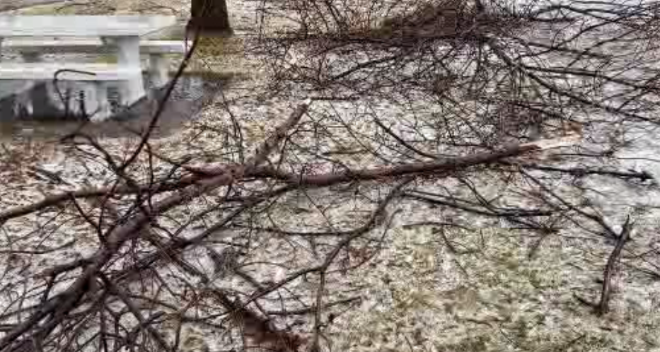 Branches 122723