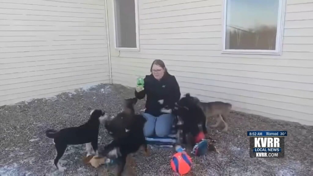 Pc Puppies