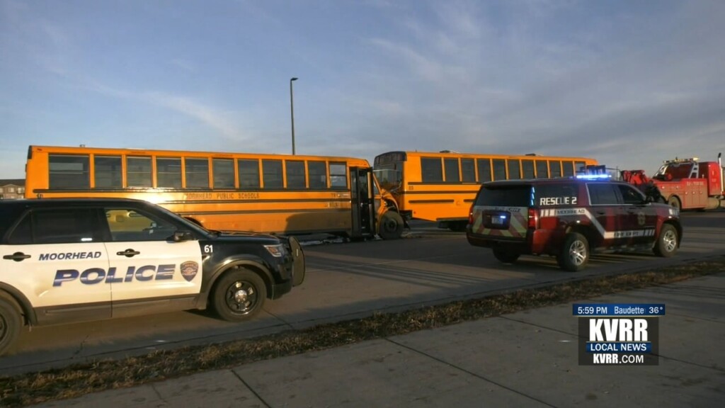 Buses
