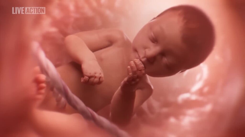 Baby Olivia