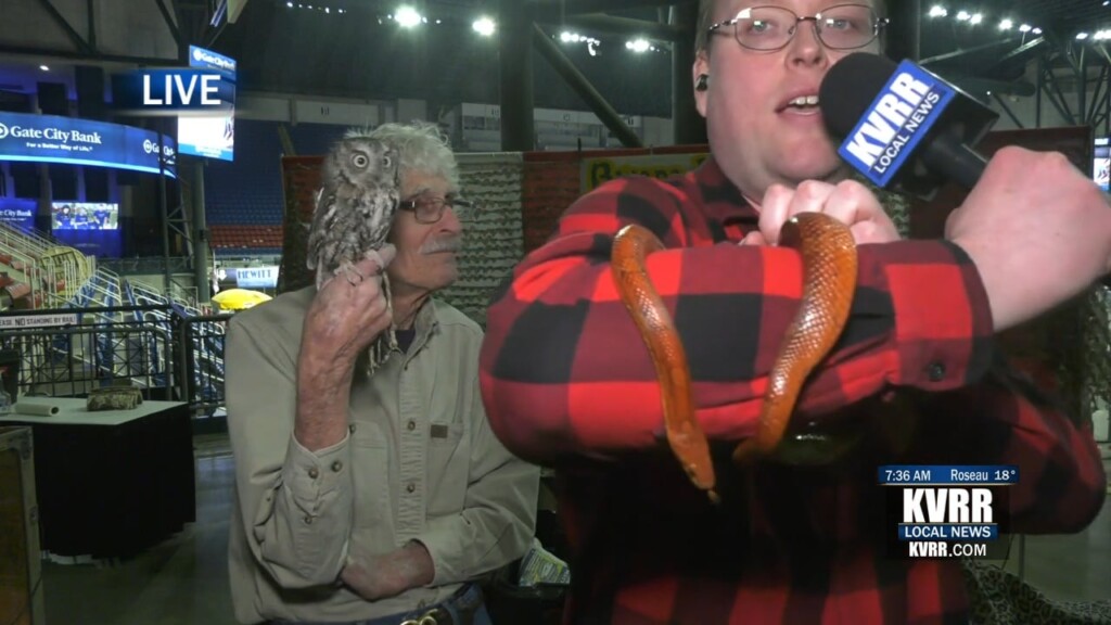 Sportsmen's Show