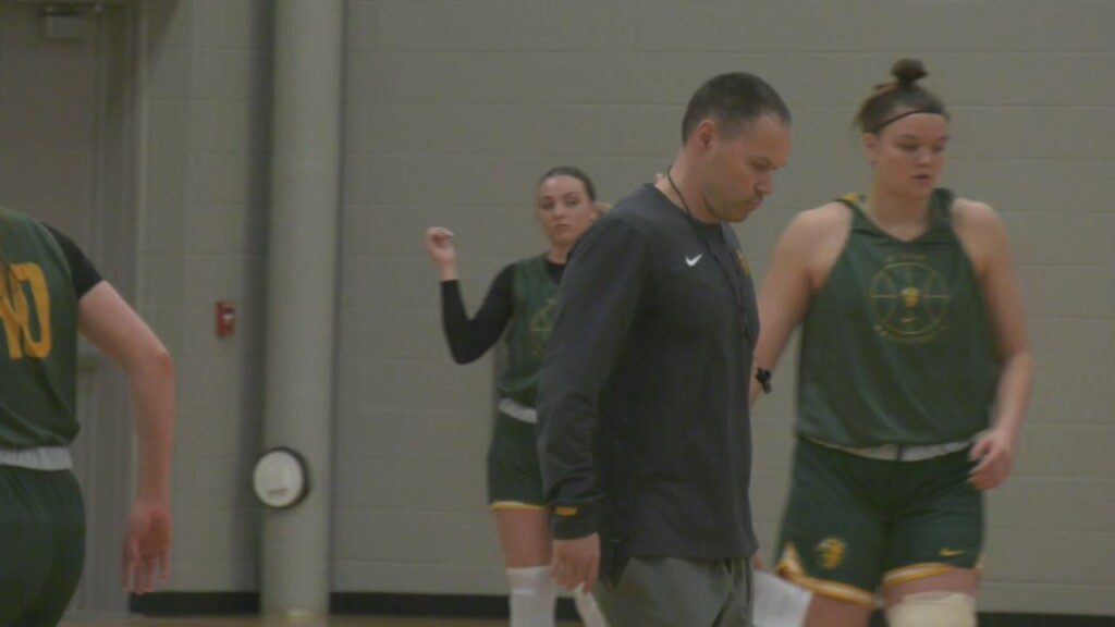 Bison Still
