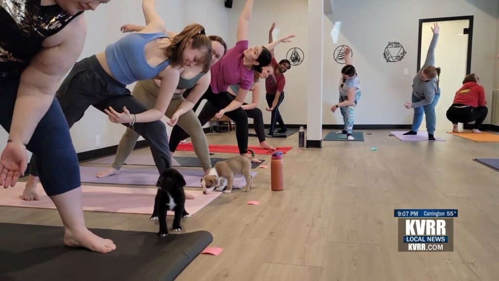 Pup Yoga