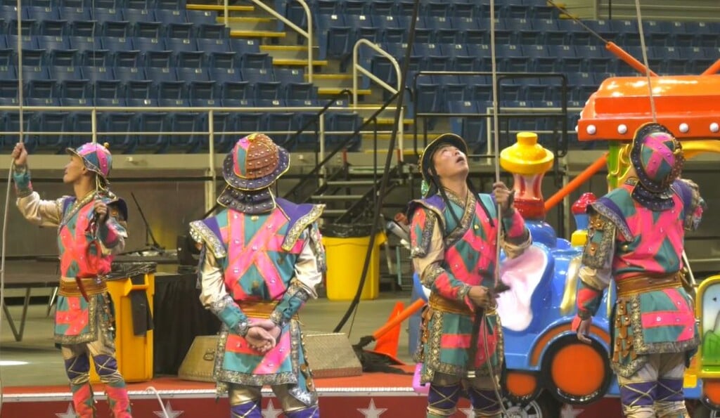 Elzaglecircus