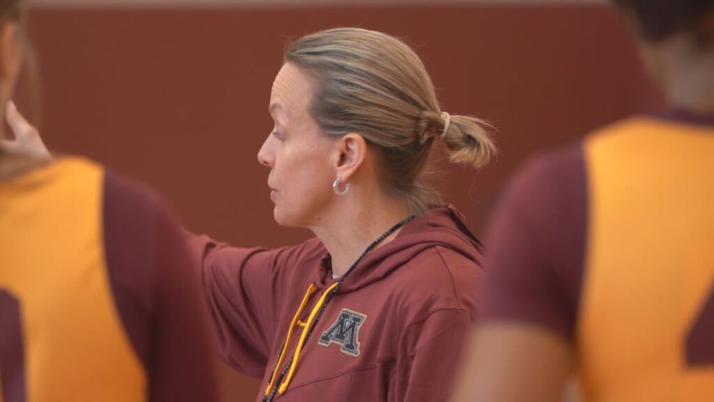 Gophs
