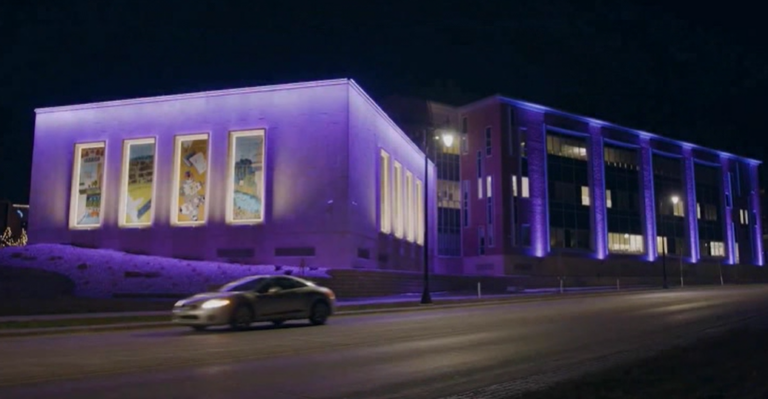 Fargo Purple 042124