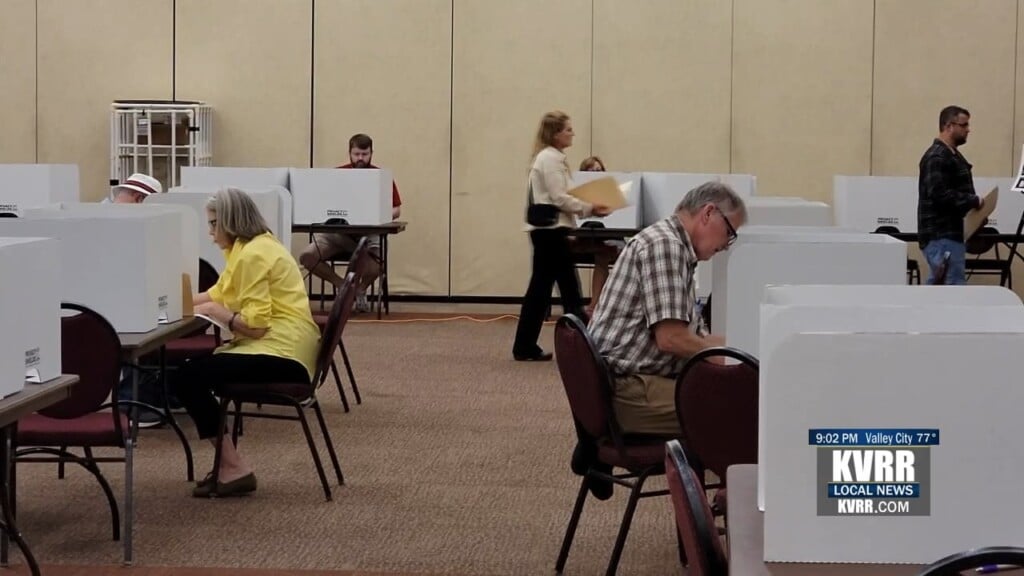 Voting
