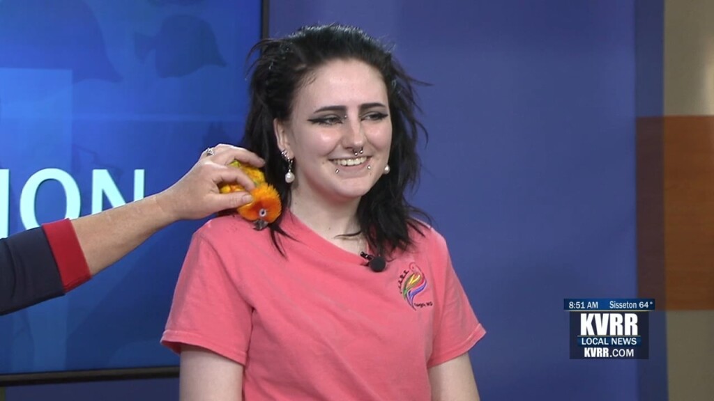 Kiwi