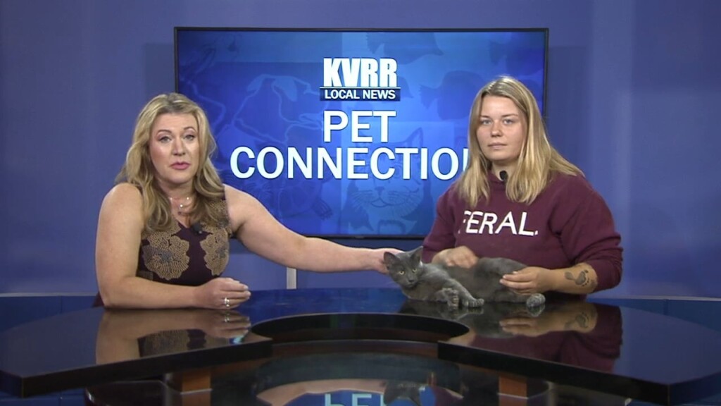 Pet Connection (long)
