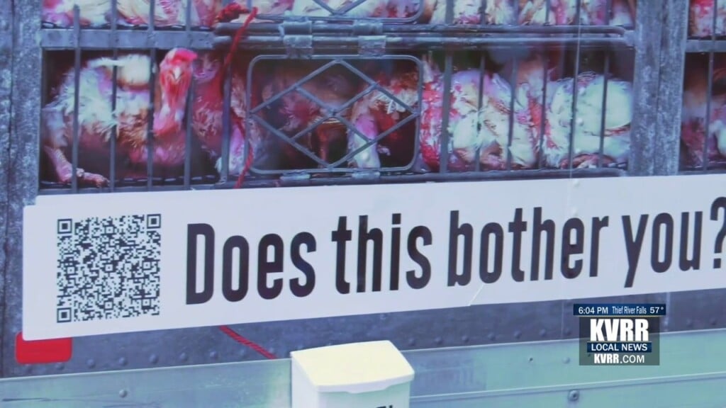Peta