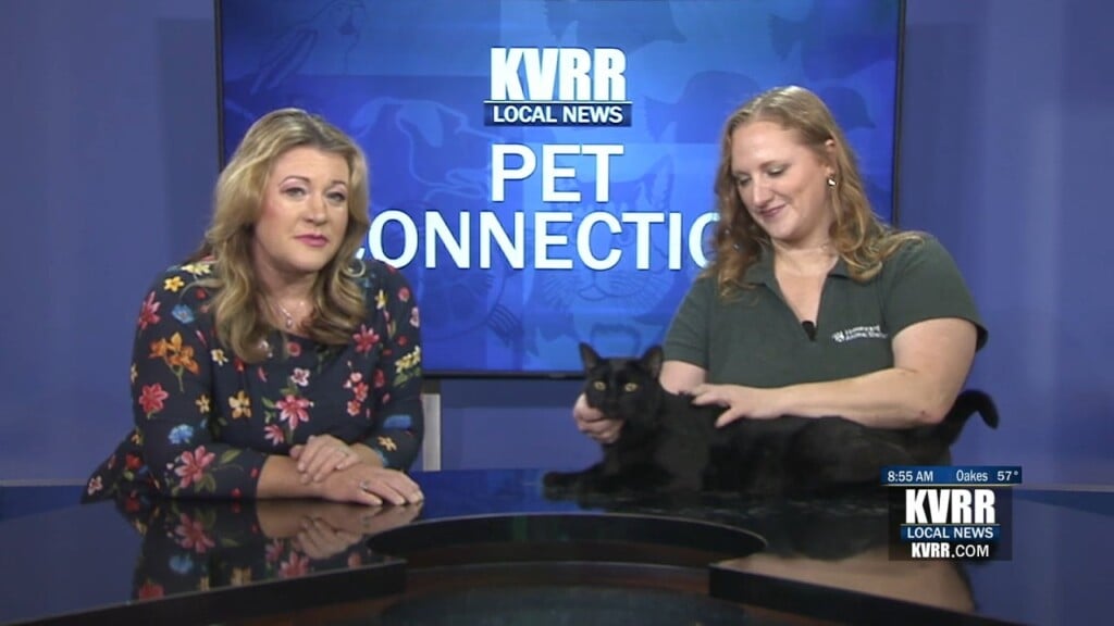 Pet Connection