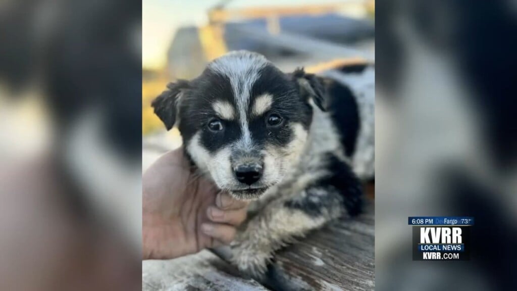 Rescue