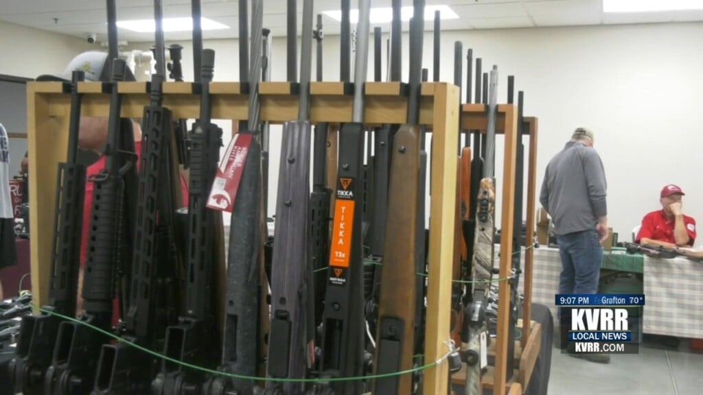 Guns